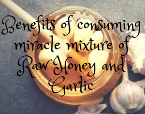 Benefits of consuming miracle mixture of Raw honey and Garlic
